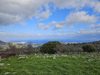 Plot - Grekodom 65313|1044341