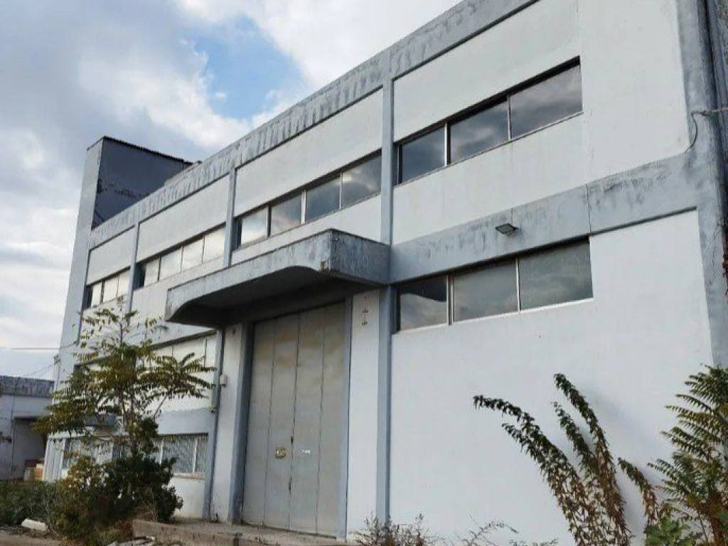 Forumland Real Estate, Εξωτερική Όψη