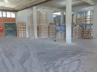 Forumland Real Estate, Εσωτερικός Χώρος