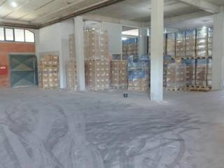 Forumland Real Estate, Εσωτερικός Χώρος