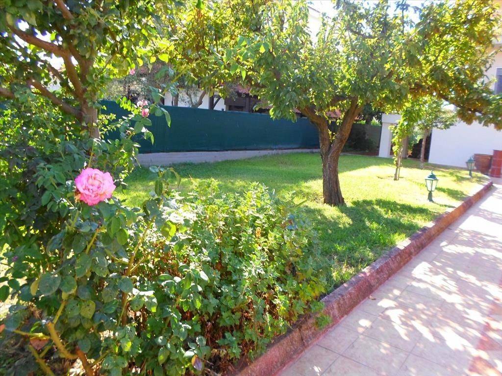 Detached - Grekodom 27057|373809