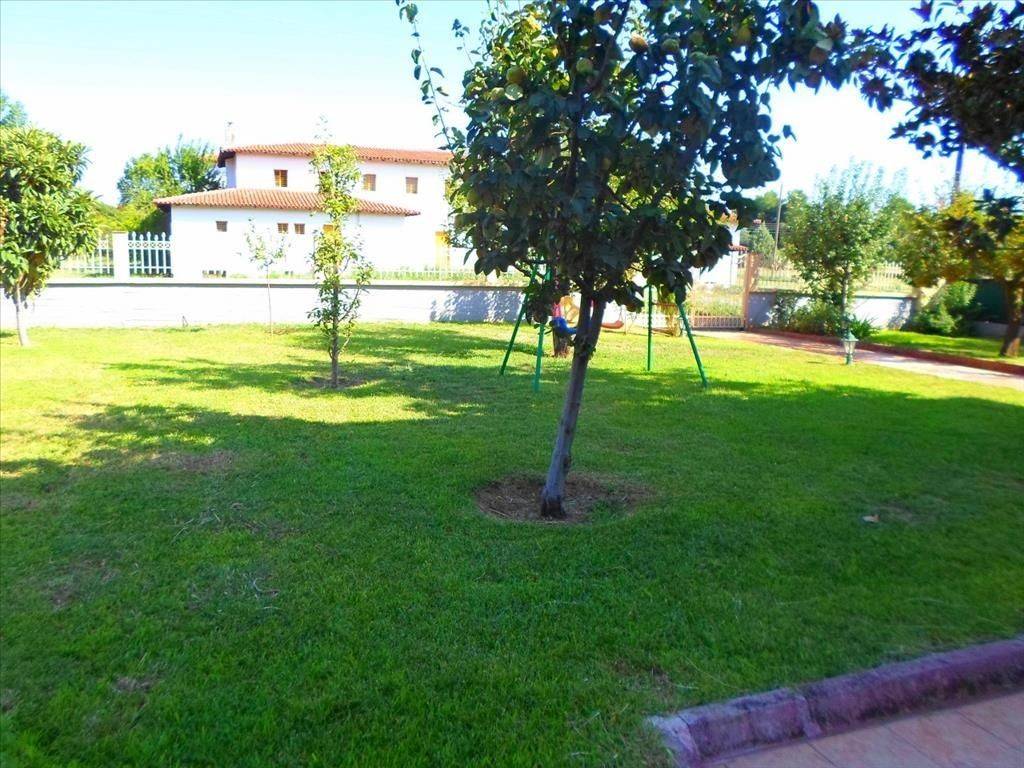 Detached - Grekodom 27057|373807