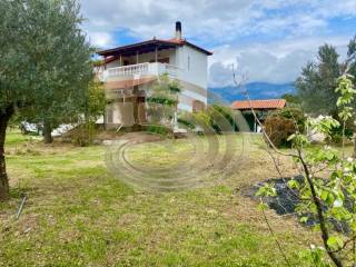 Exterior of the house