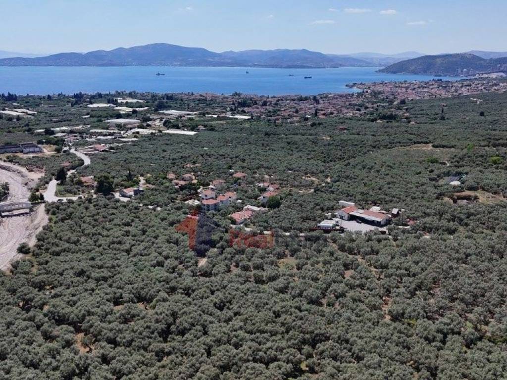 Εξωτερικοι χώροι