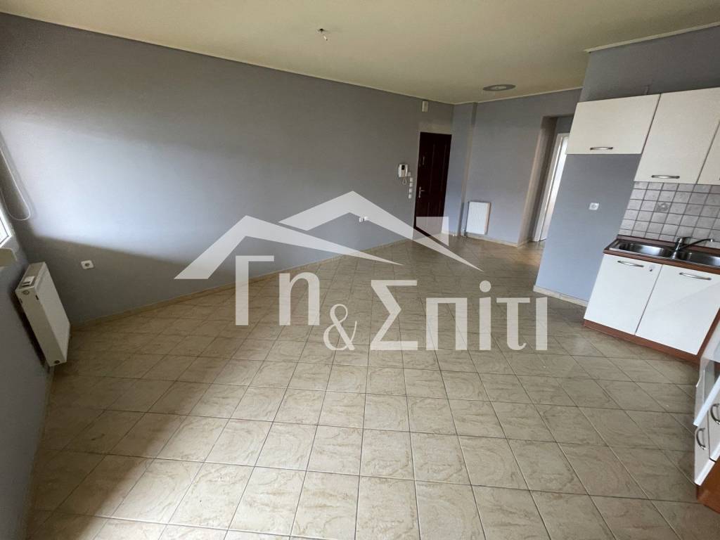 Σαλοκουζίνα