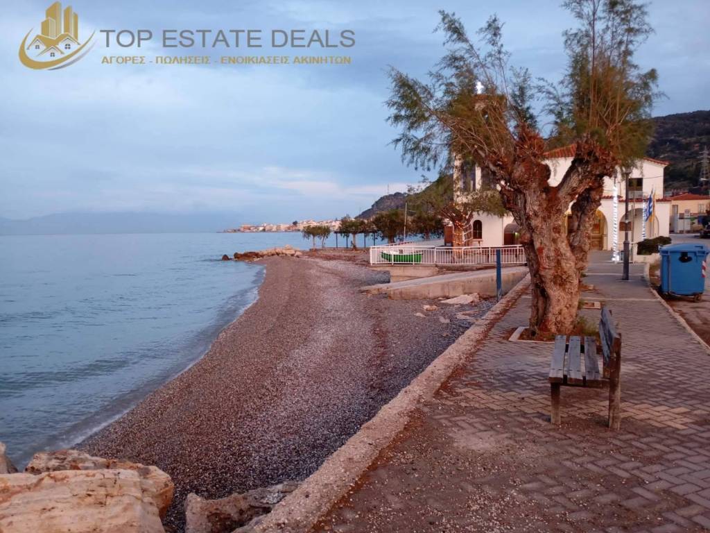 ammoydia -ekklesia  apenanti tes petrines monokatoikias