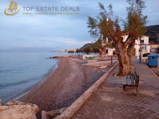 ammoydia -ekklesia  apenanti tes petrines monokatoikias