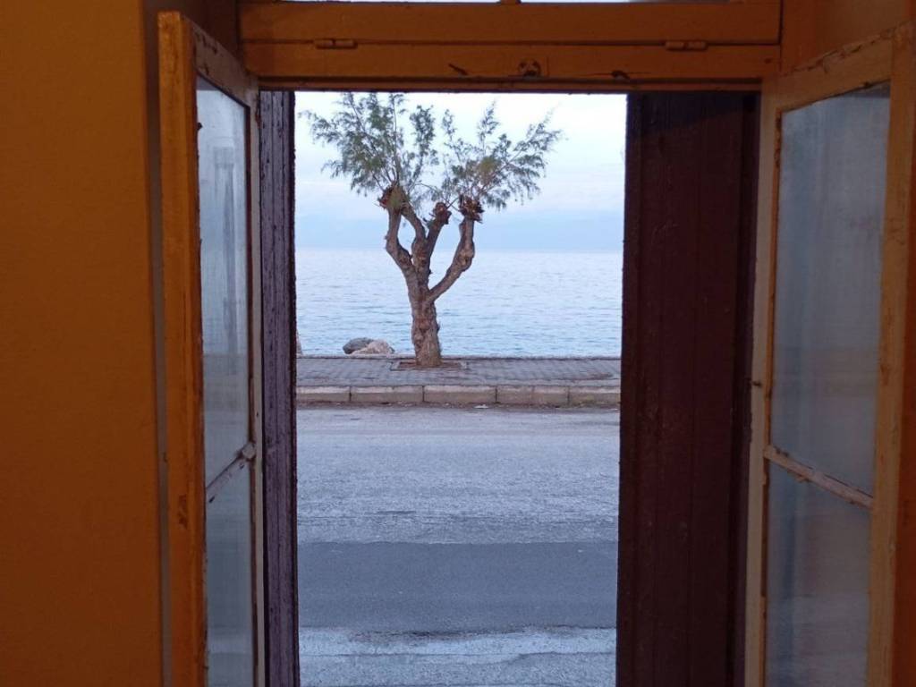 thea thalassa apenanti apo ta mprostina parathyra toy spitioy