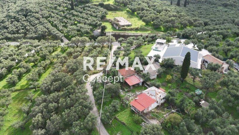 Ύπαρξη ανθρώπου