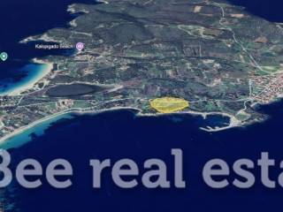 Άποψη εξωτερικού χώρου