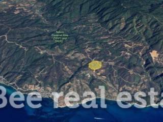 Άποψη εξωτερικού χώρου