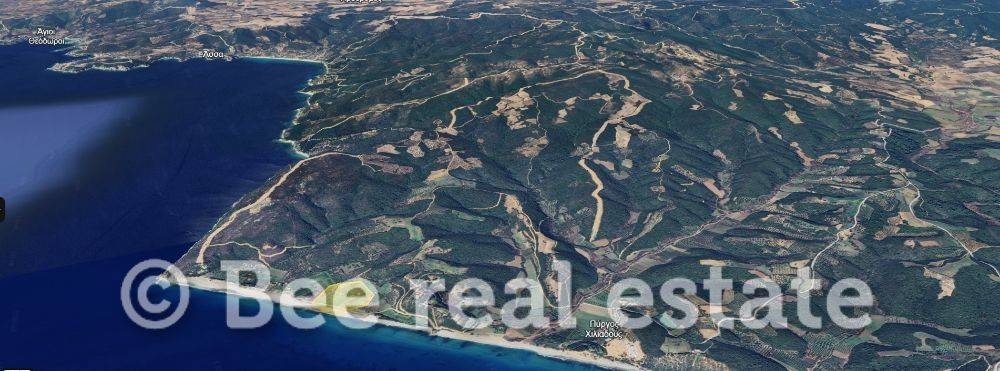 Άποψη εξωτερικού χώρου