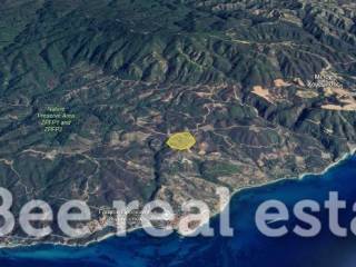 Άποψη εξωτερικού χώρου