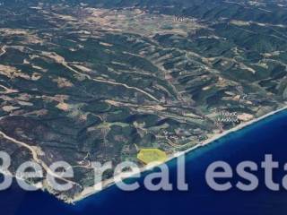 Άποψη εξωτερικού χώρου