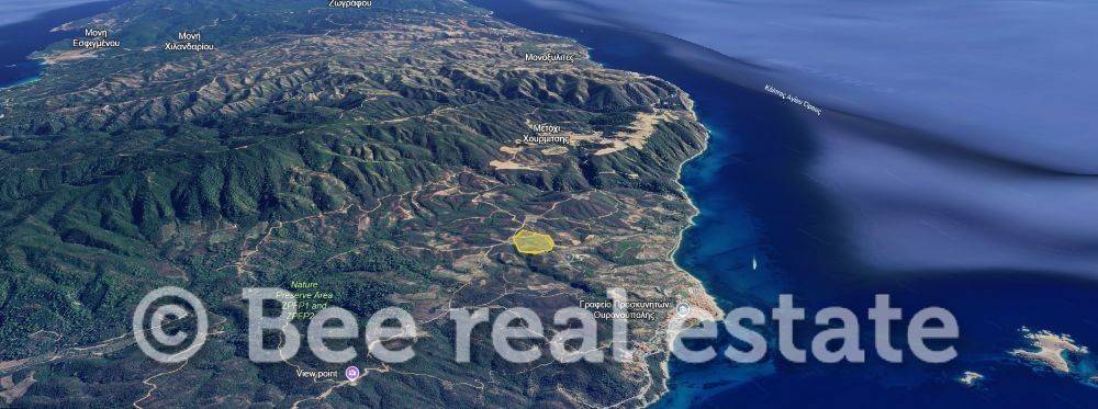 Άποψη εξωτερικού χώρου