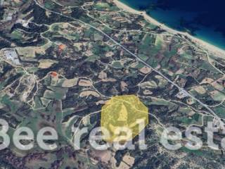 Άποψη εξωτερικού χώρου