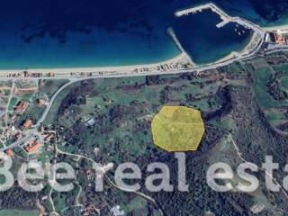 Άποψη εξωτερικού χώρου