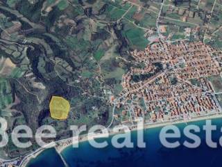 Άποψη εξωτερικού χώρου