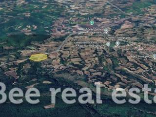 Άποψη εξωτερικού χώρου