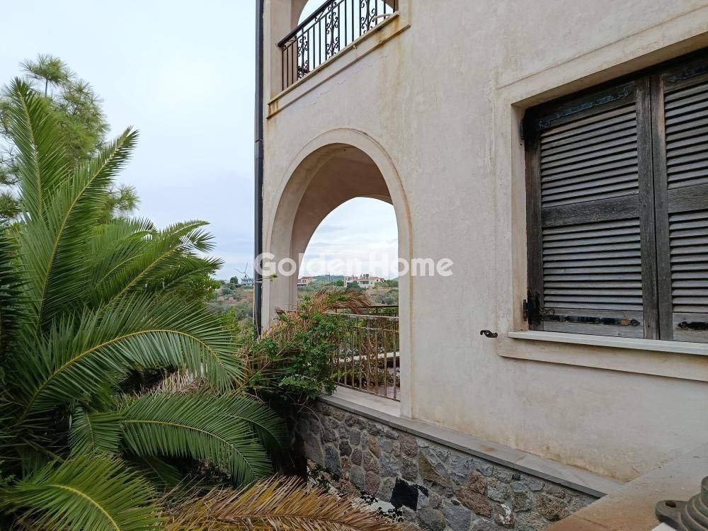 Ανελκυστήρας