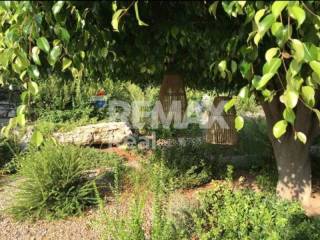 Ύπαρξη ανθρώπου