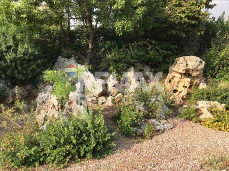 Ύπαρξη ανθρώπου