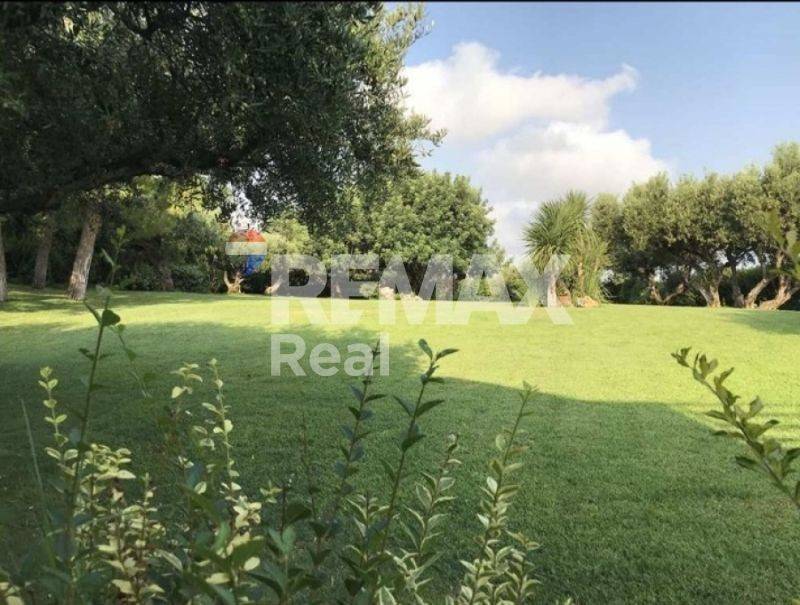 Ύπαρξη ανθρώπου