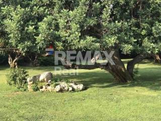 Ύπαρξη ανθρώπου