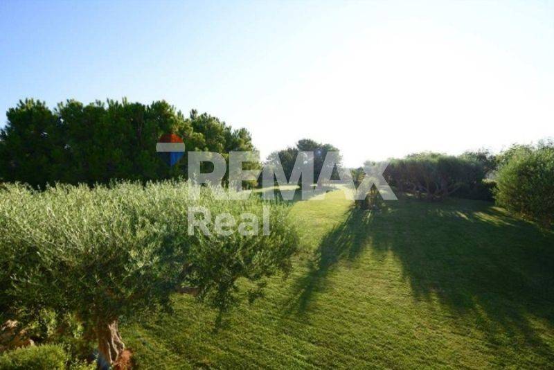 Ύπαρξη ανθρώπου