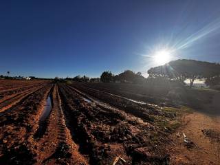 Εξωτερικοι χώροι