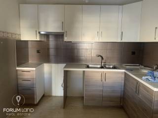 Forumland Real Estate, Koyzina