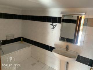 Forumland Real Estate, Mpanio