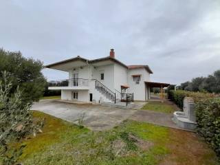 Detached - Grekodom 65404|1045924