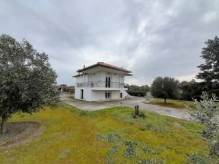 Detached - Grekodom 65404|1045919