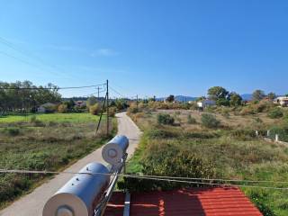 Hotel - Grekodom 62034|944718