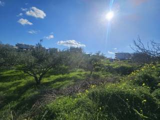 Plot - Grekodom 65403|1045891