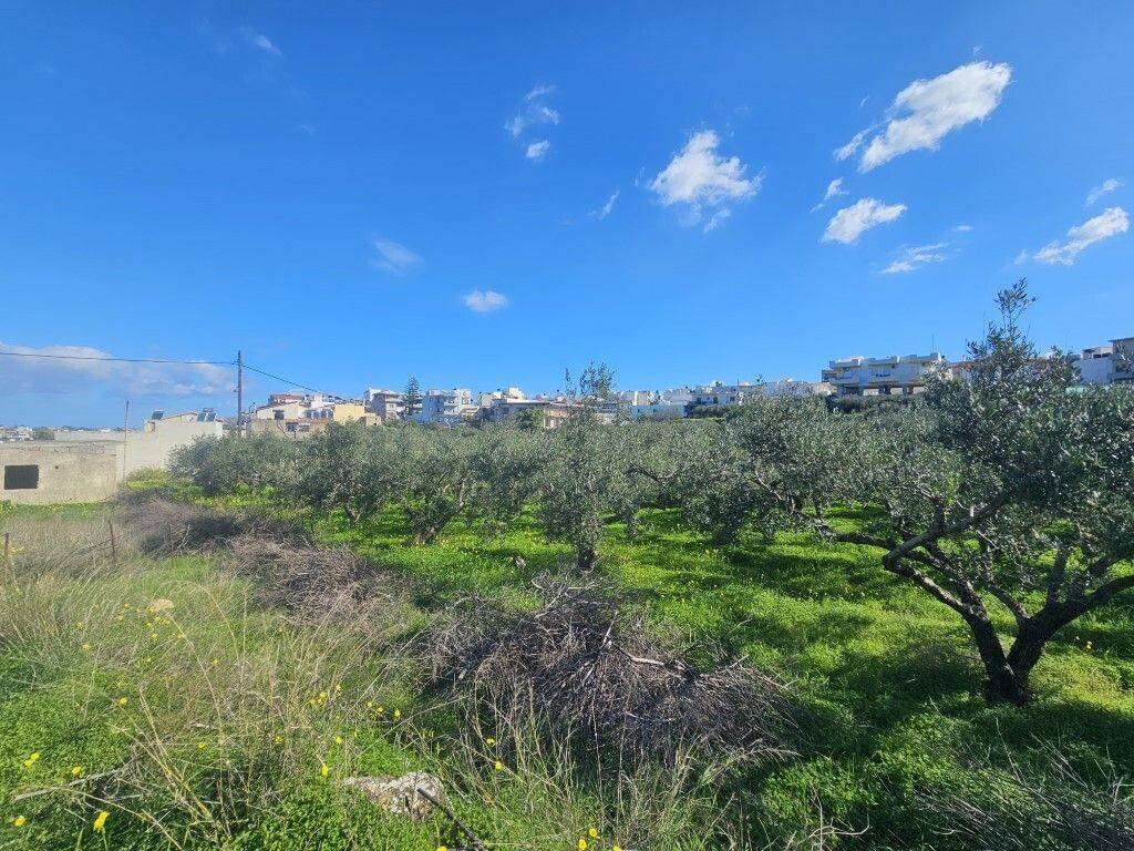 Plot - Grekodom 65403|1045892