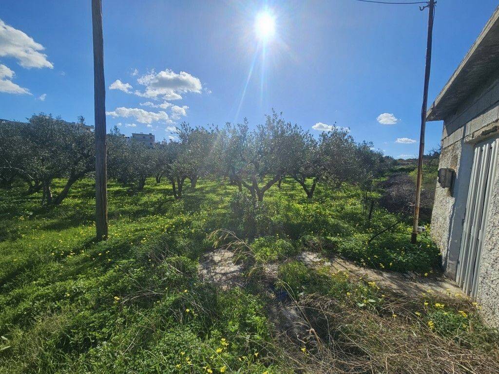 Plot - Grekodom 65403|1045893