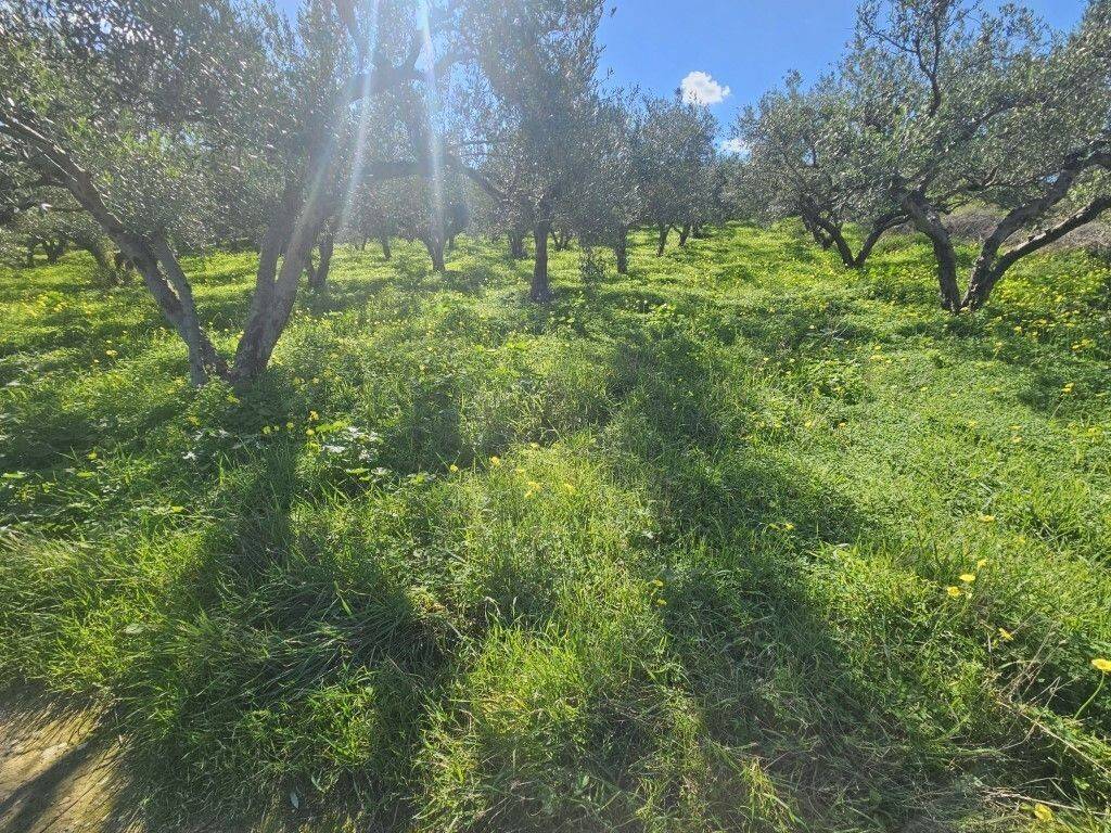 Plot - Grekodom 65403|1045896