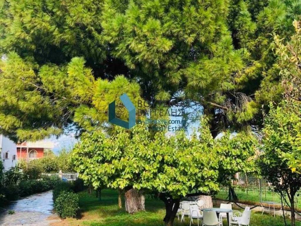 κοινόχρηστος κήπος