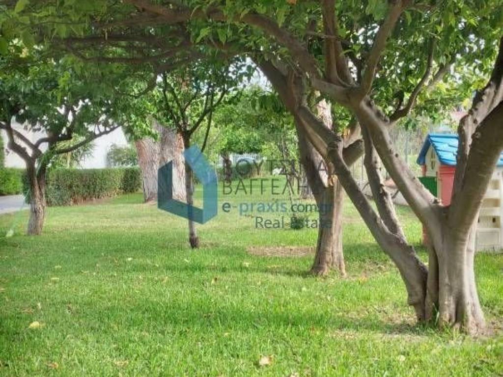 Θέα από την κουζίνα