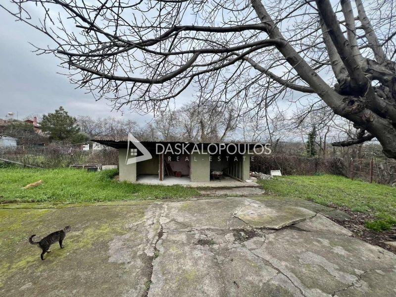 Εξωτερικός χώρος