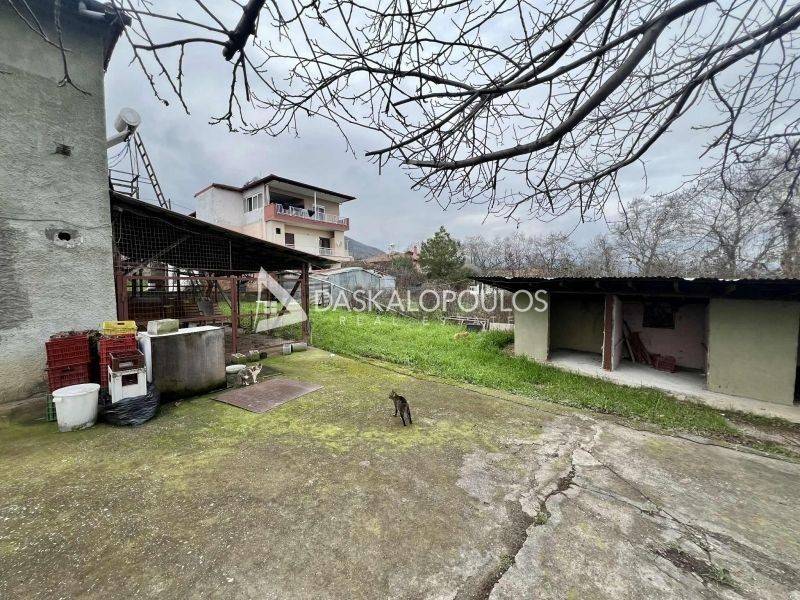 Ύπαρξη ανθρώπου