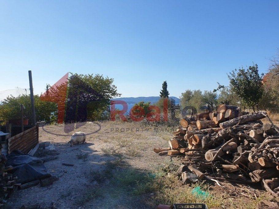 Εξωτερικοι χώροι