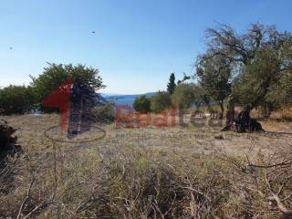 Εξωτερικοι χώροι