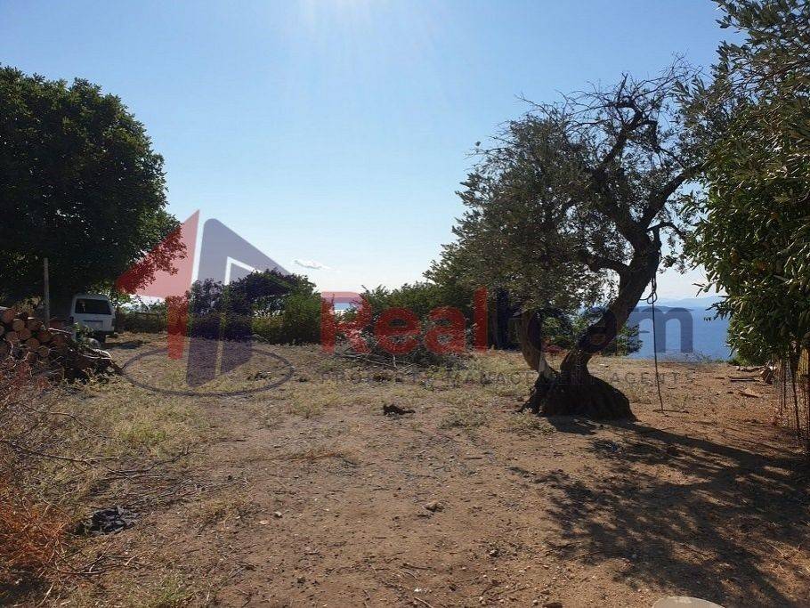 Εξωτερικοι χώροι