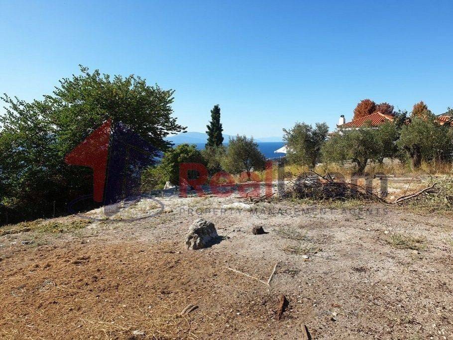 Εξωτερικοι χώροι