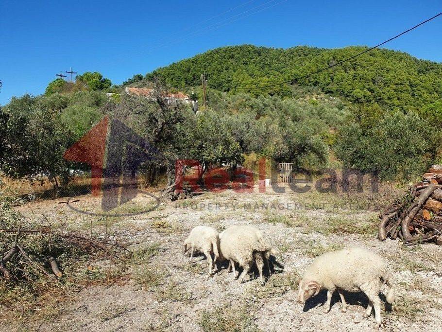 Εξωτερικοι χώροι