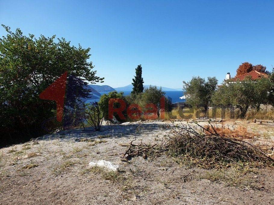 Εξωτερικοι χώροι