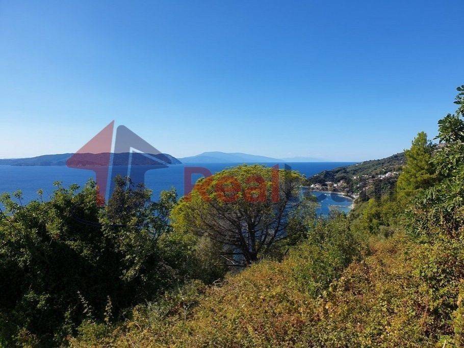 Εξωτερικοι χώροι